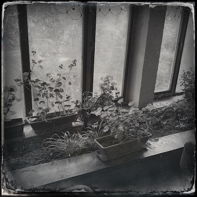 Libegünk a Libegőn