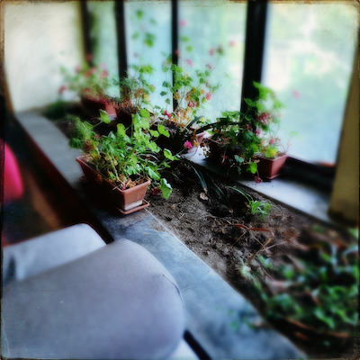 Libegünk a Libegőn